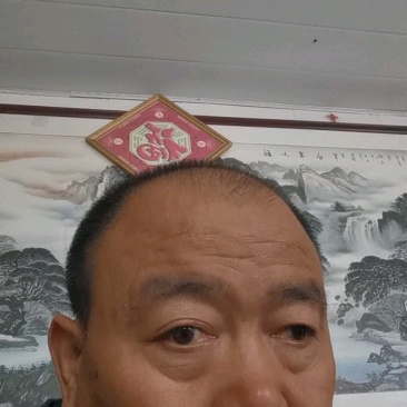 山东韭菜红根韭菜货源充足实力代发量大从优欢迎联系