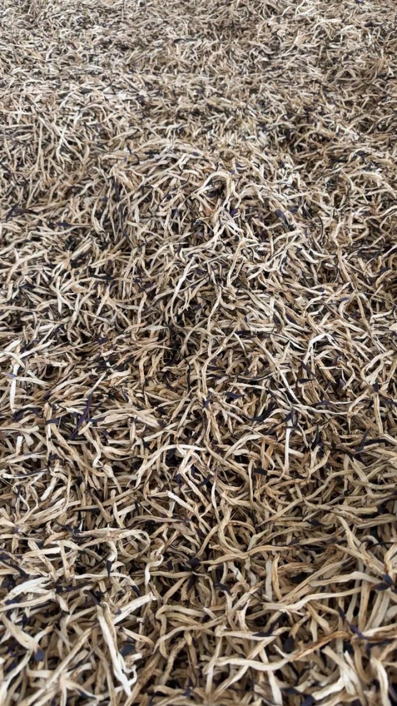 云南茄子干基地直发保质保量一条龙服务量大从优售后无忧