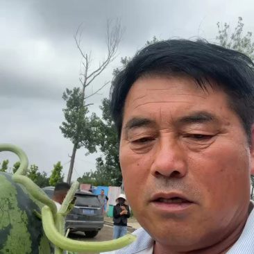 （店长力推）麒麟西瓜河南夏邑头茬无籽美都万亩基地皮薄多汁
