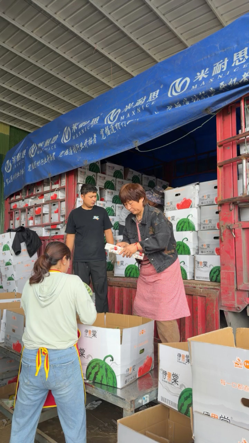 热卖夏邑麒麟西瓜对接市场商超团购供应链一条龙服务诚信合作