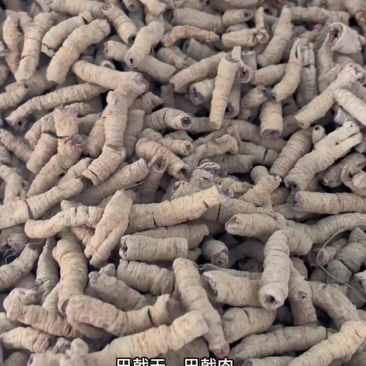 巴戟天中药材批发巴戟天片泡茶巴戟天粉巴戟鸡肠风巴戟肉