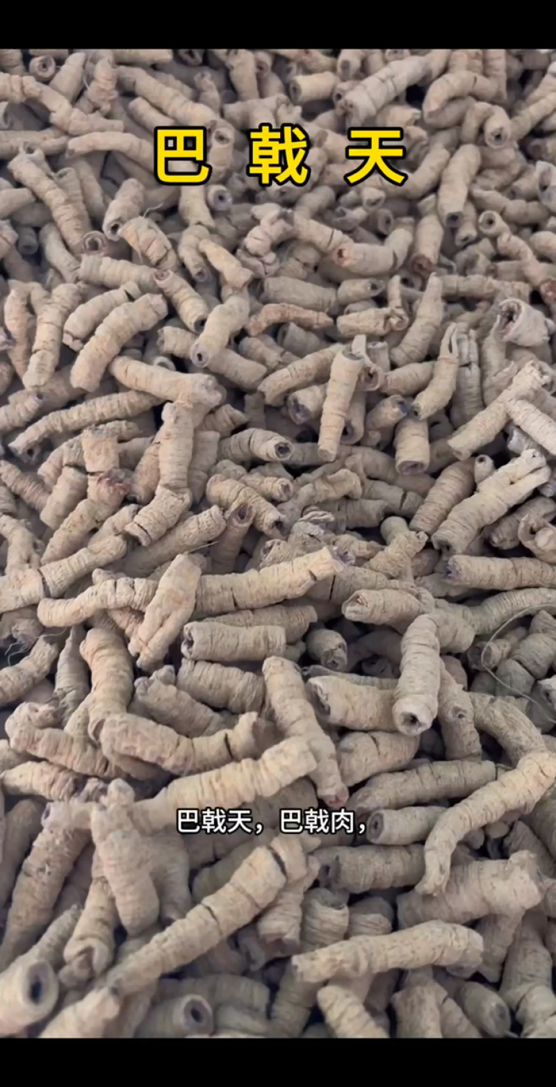 巴戟天中药材批发巴戟天片泡茶巴戟天粉巴戟鸡肠风巴戟肉