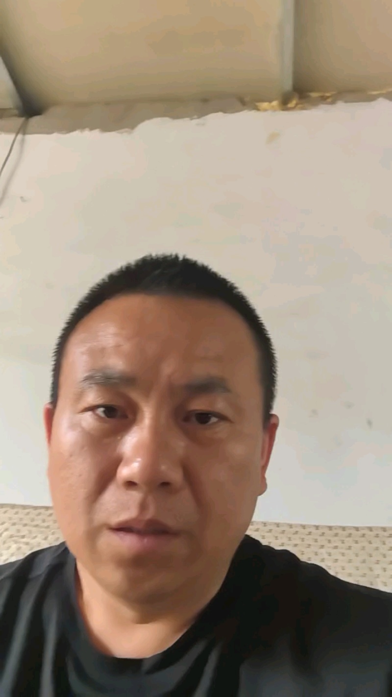 玉露香梨，河北玉露香海量货源，口感嘎嘎甜，汁水充足，量大