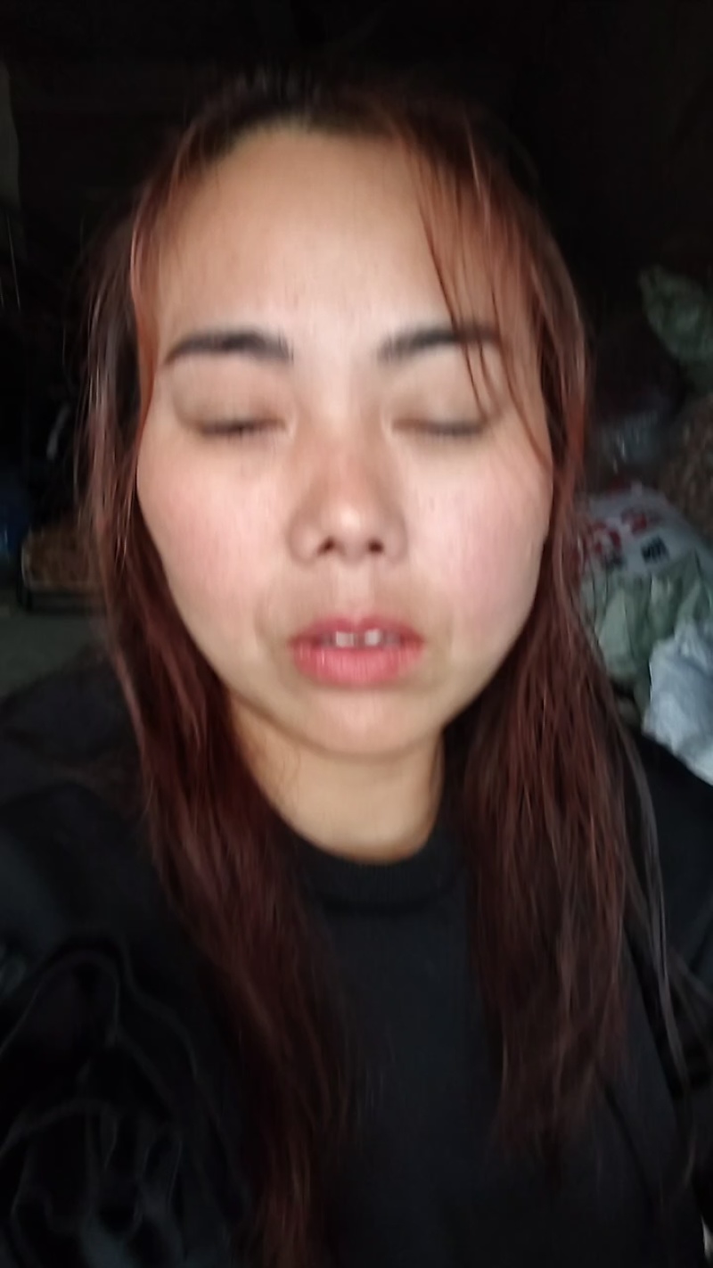 癞蛤蟆草野生包邮一一手选色青味浓批发零售产地直发一手货源
