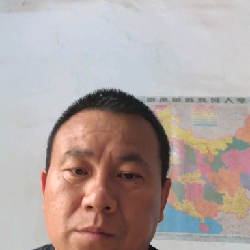 皇冠梨，河北皇冠梨，大量现货，果面干净，口感甜汁水多。