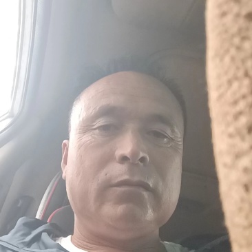 两万斤西瓜，十斤匀称，皮毛俊俏！