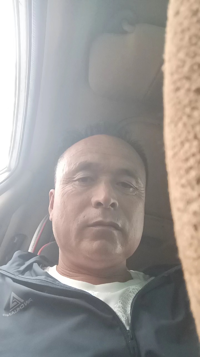 两万斤西瓜，十斤匀称，皮毛俊俏！