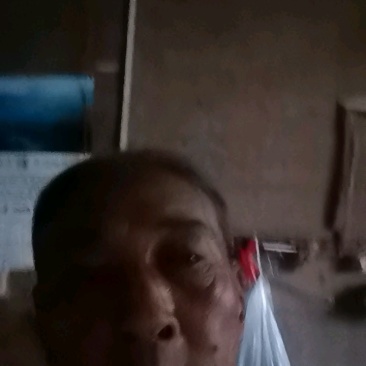 江西赣州特产黑老虎根地直发量大价优欢迎随时看货
