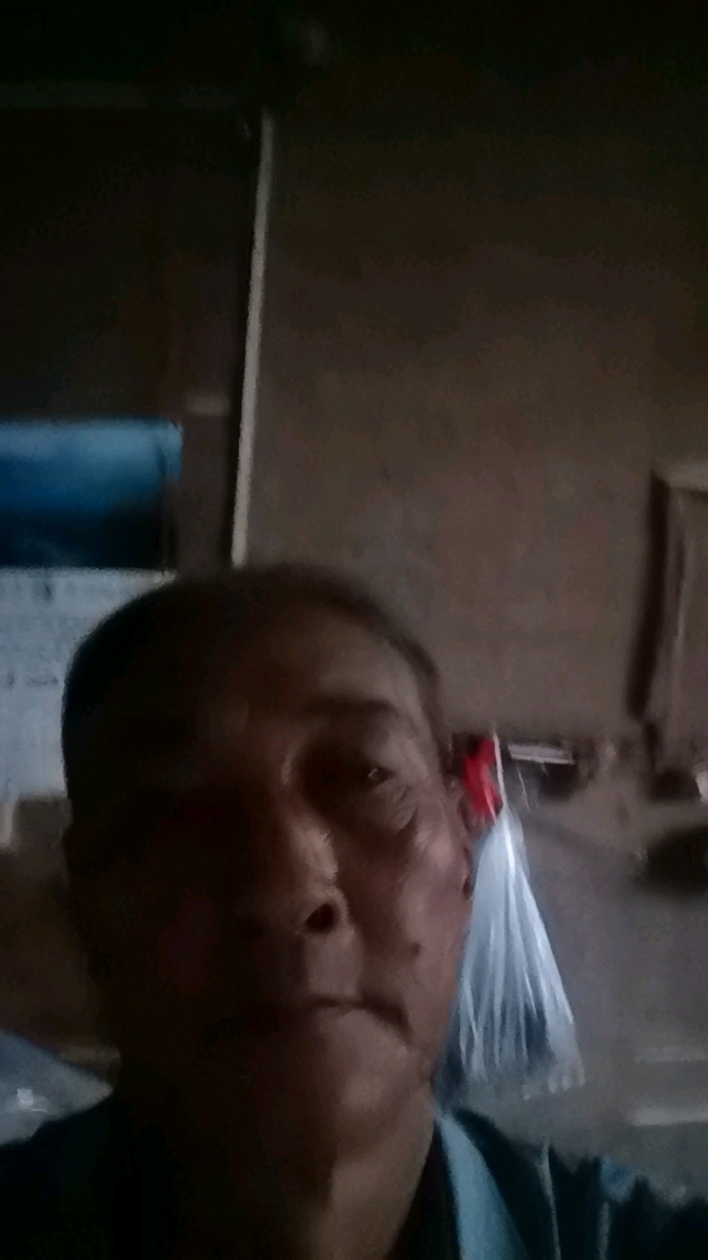 江西赣州特产黑老虎根地直发量大价优欢迎随时看货