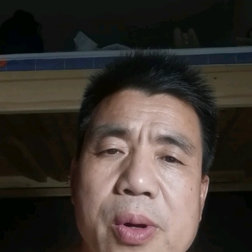 马肉蒙古国冻马肉四分五分体精修可视频看货一手货源基地直发