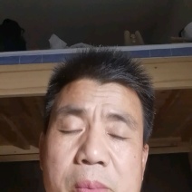 大草原羊蛋新鲜真空包装一首货源可视频看货欢迎电话联系
