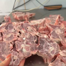 内蒙古精品羊副产品羊蝎子/诚信经营/量大从优/工厂直发