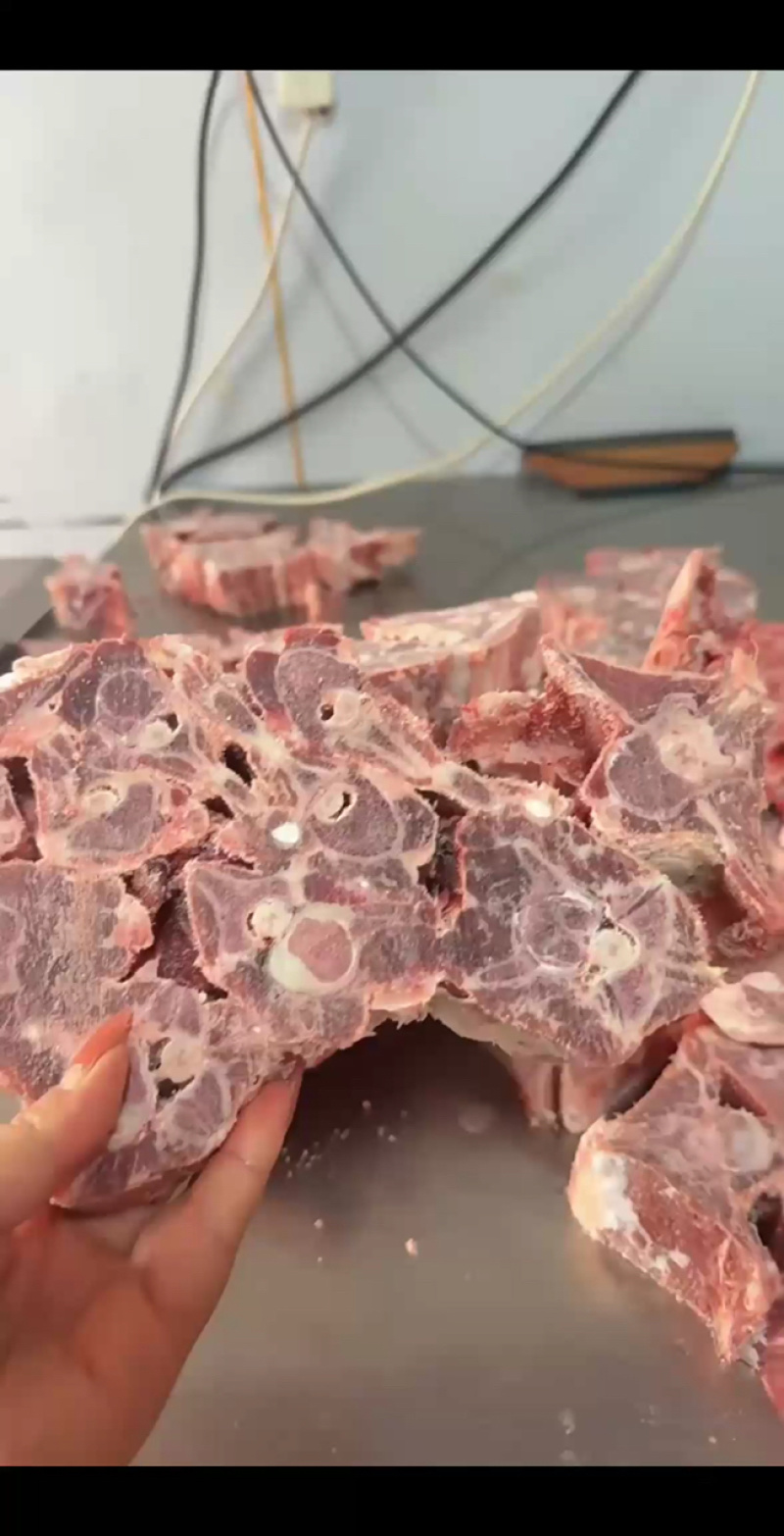 内蒙古精品羊副产品羊蝎子/诚信经营/量大从优/工厂直发