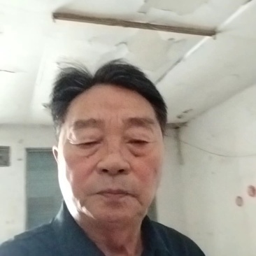 【包邮】铁棍山药干片，全国发货，质量保证