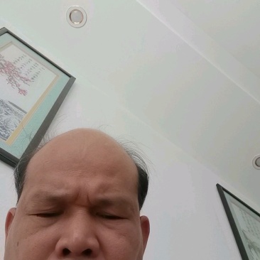 大量供应华南九号黄心木薯块欢迎各位老板合作