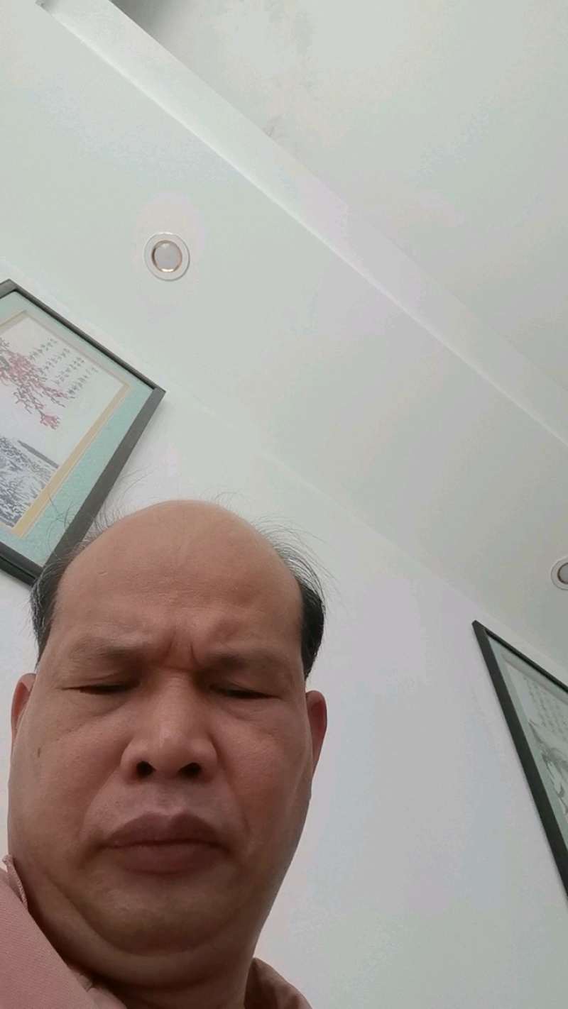 大量供应华南九号黄心木薯块欢迎各位老板合作