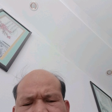 大量供应羽衣甘蓝欢迎各位老板合作采购
