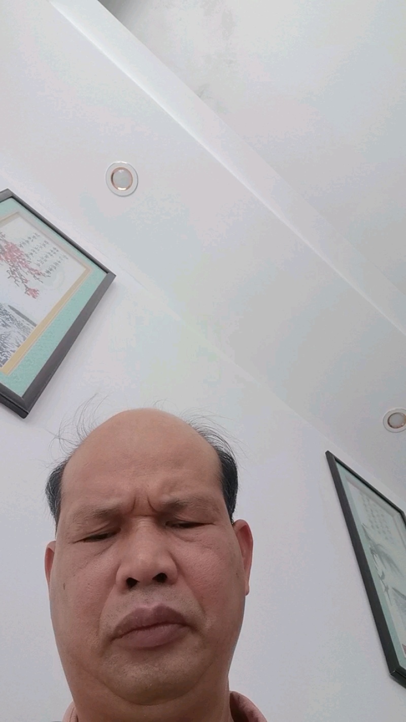大量供应羽衣甘蓝欢迎各位老板合作采购