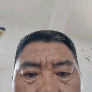 艾草河南全棵艾草大量接单产地直发量大从优欢迎来电