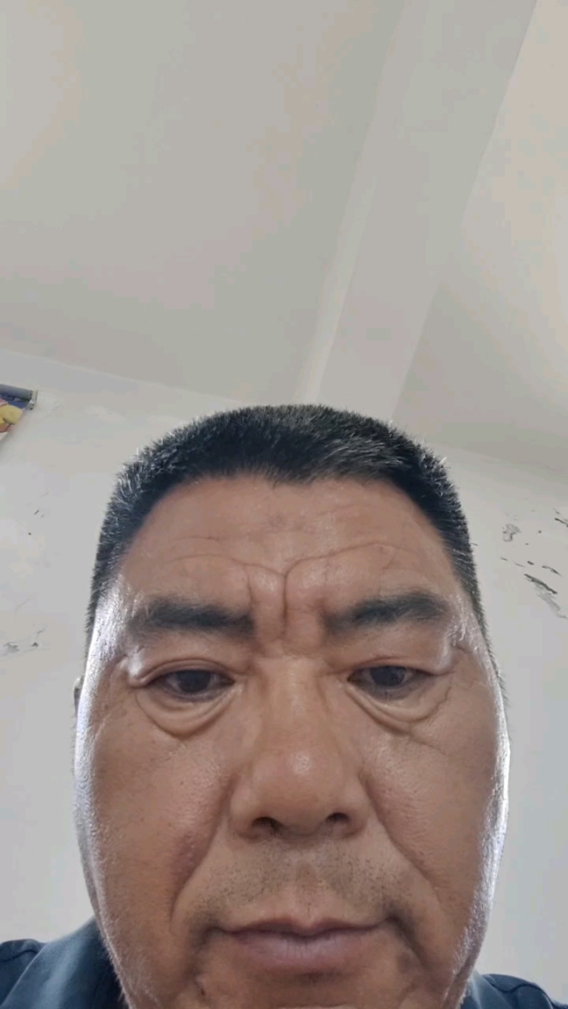 艾草河南全棵艾草大量接单产地直发量大从优欢迎来电