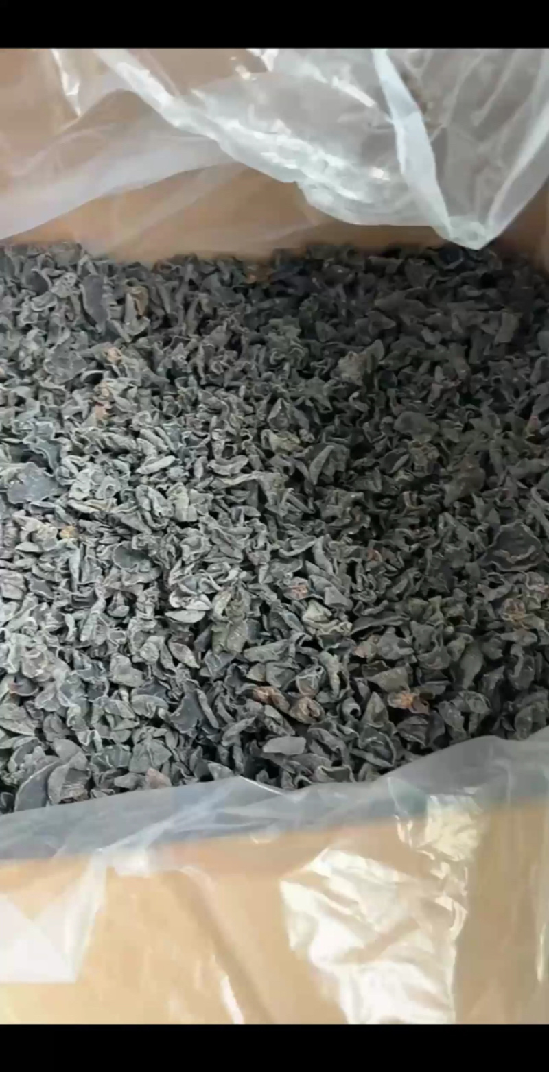 东北黑木耳秋木耳无根肉厚对接市场商超欢迎来电洽谈