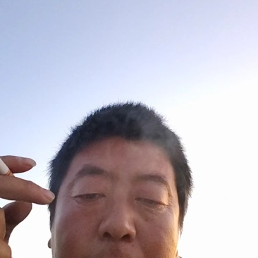 昌黎精品芹菜大量上市粗细都有，没斑点没胡叶没花杆60以上