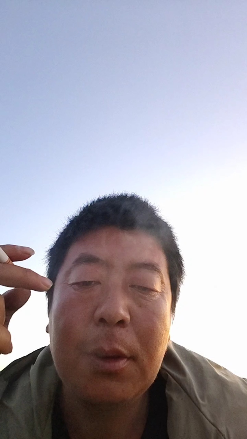 昌黎精品芹菜大量上市粗细都有，没斑点没胡叶没花杆60以上