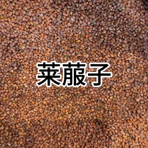中药材莱菔子萝卜籽泡水泡茶煮茶中草药