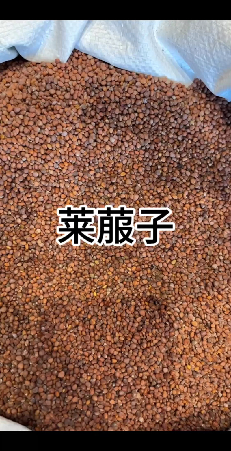 中药材莱菔子萝卜籽泡水泡茶煮茶中草药