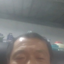 山东聊城莘县精品长豆角原产地发货一手货源批发品质保证