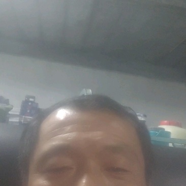 山东聊城莘县精品长豆角原产地发货一手货源批发品质保证