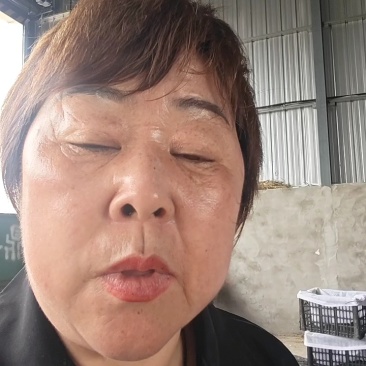 【油桃】湖北油桃中油油桃产地直发，对接全国电商市场批发商