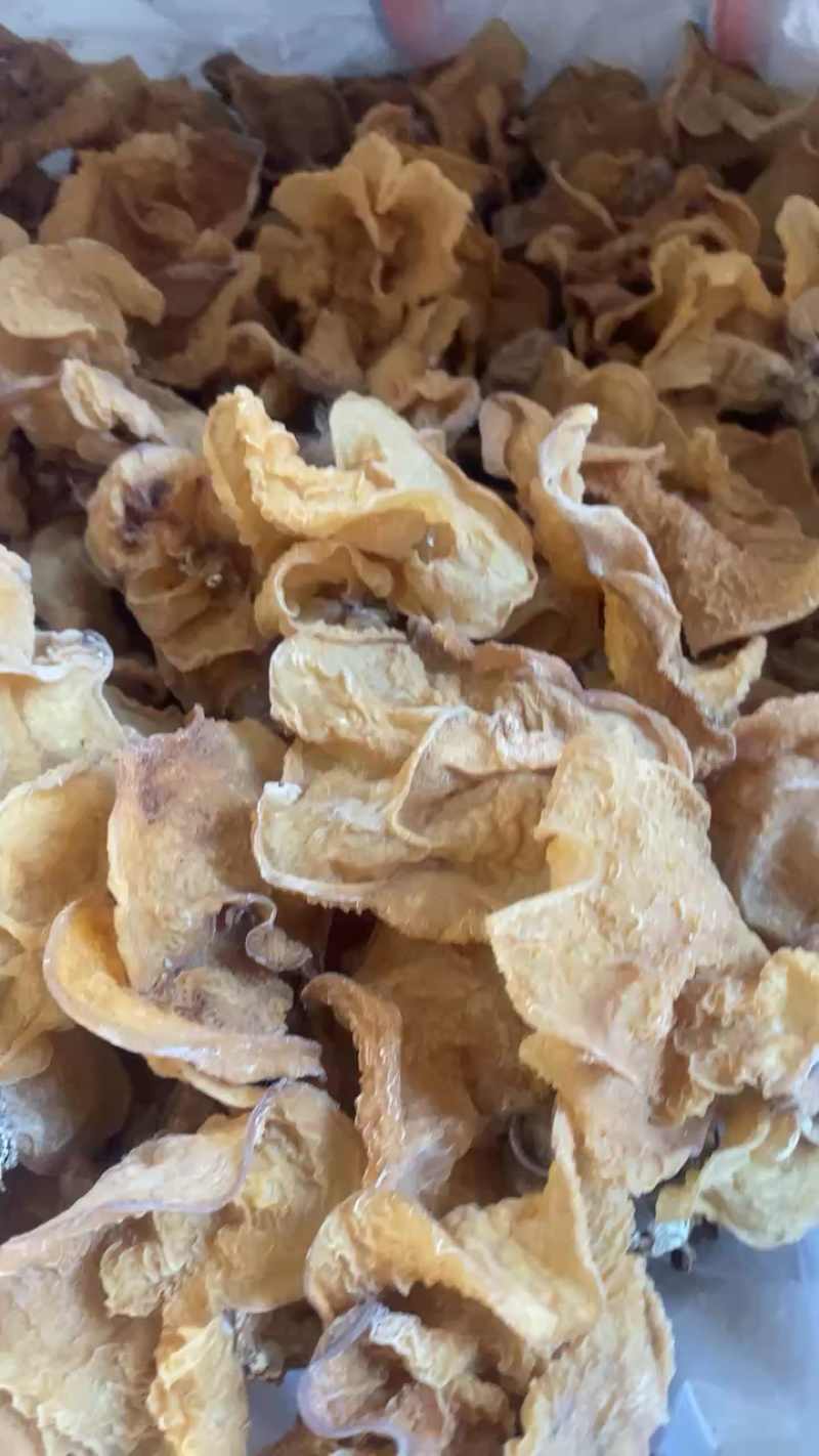 羊肚耳珍珠菌沙耳猪肚耳素食羊肚五斤包邮羊肚耳干货