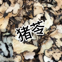 猪苓中药材正宗猪苓精选大片朱苓片新货猪苓精选药材