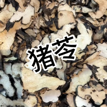 猪苓中药材正宗猪苓精选大片朱苓片新货猪苓精选药材