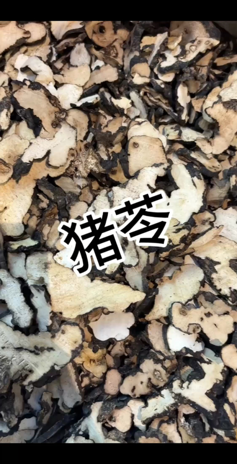 猪苓中药材正宗猪苓精选大片朱苓片新货猪苓精选药材