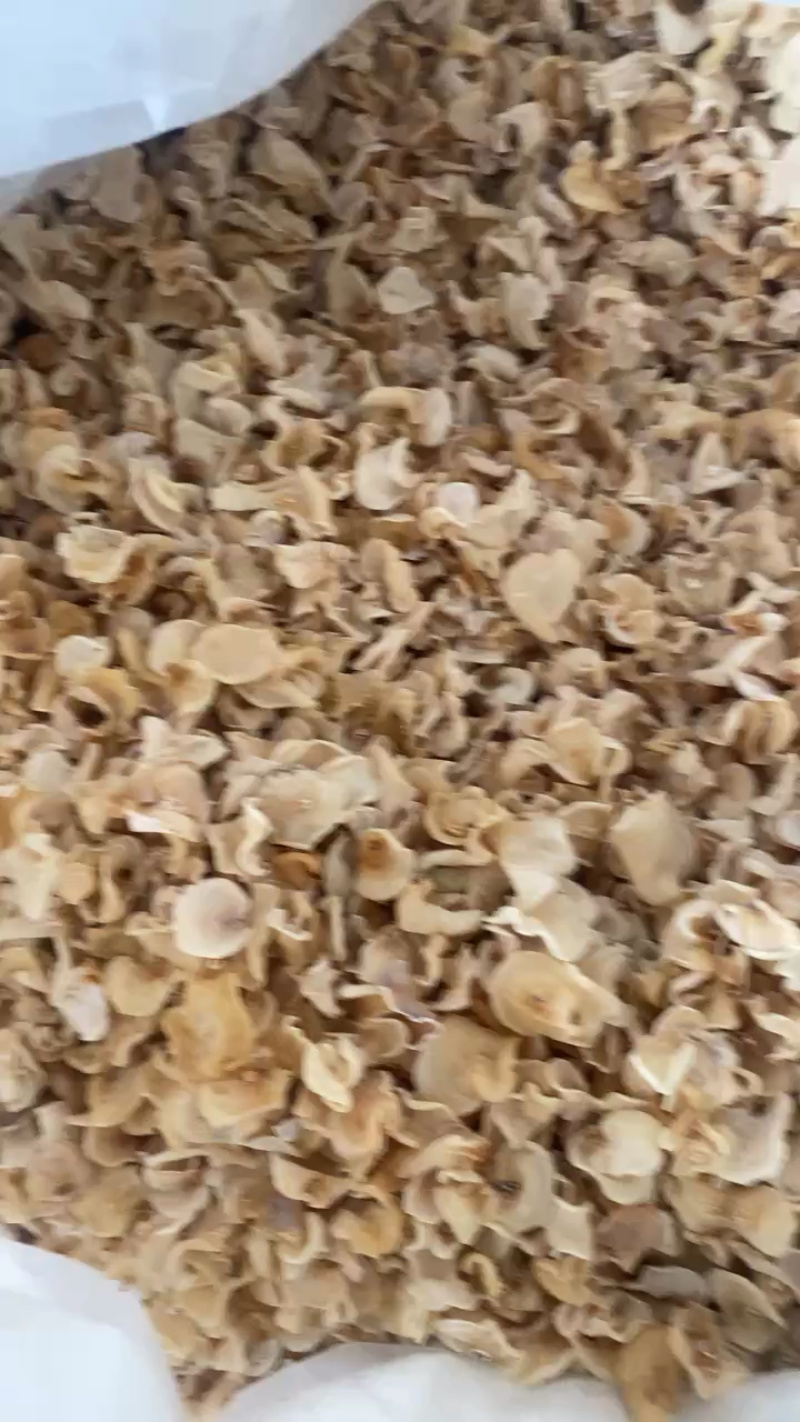 玉木耳通货