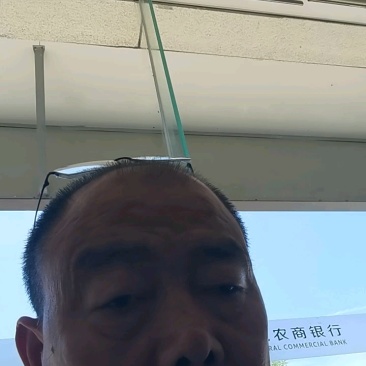 山东西红柿精品硬粉西红柿货源充足品质保证欢迎联系