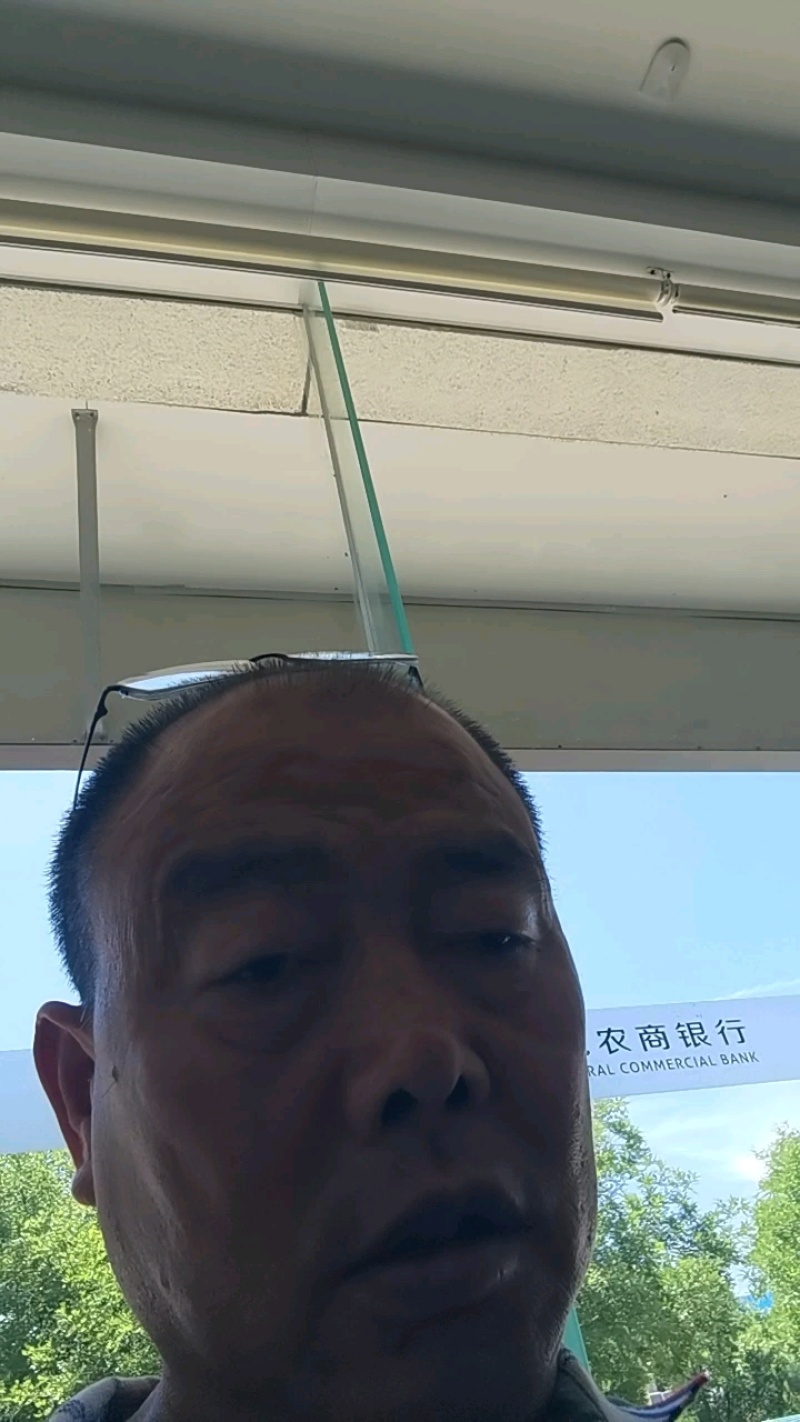 山东西红柿精品硬粉西红柿货源充足品质保证欢迎联系