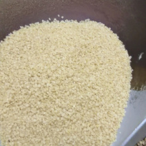 火麻仁各种规格货源充足大量从优