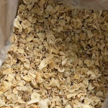 东北白玉木耳批发肉厚无根优质品质量大从优