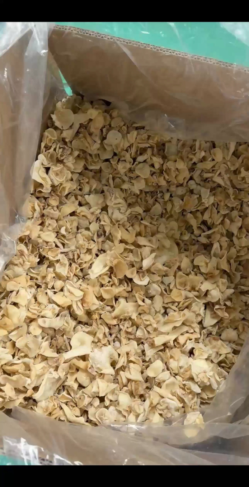 东北白玉木耳批发肉厚无根优质品质量大从优
