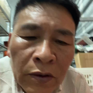 覆盆子，中药材