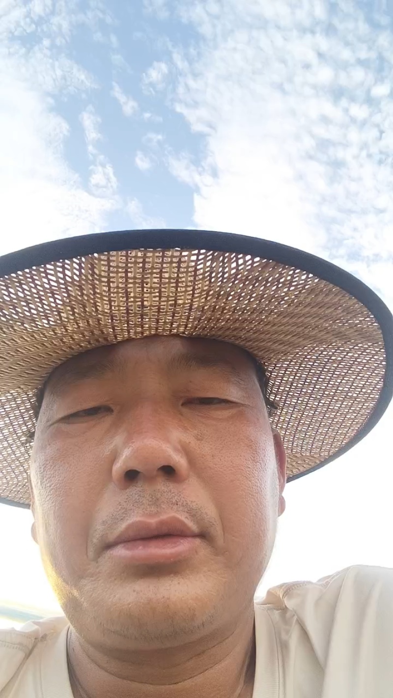 邯郸甘蓝产地直发保质保量大量有货全国代发欢迎选购