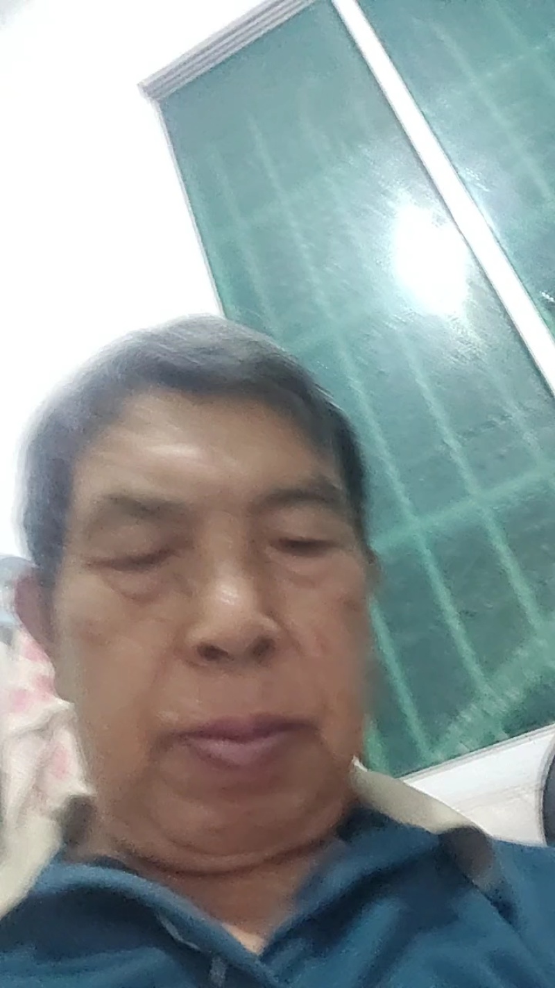 枇杷苗，解放钟，平均单果重80克。