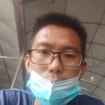 小千禧，贝贝，小番茄圣女果，玲珑番茄大量供应