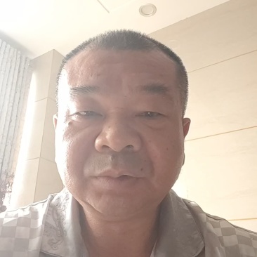 驯化虎杖苗，生命力顽强无病虫害，产量高，易种易管基地直供