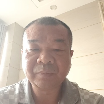 供应高产川续断种苗，纯正道地品种，生命力顽强，生长速度快