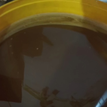 售卖云南中华小蜂蜂蜜