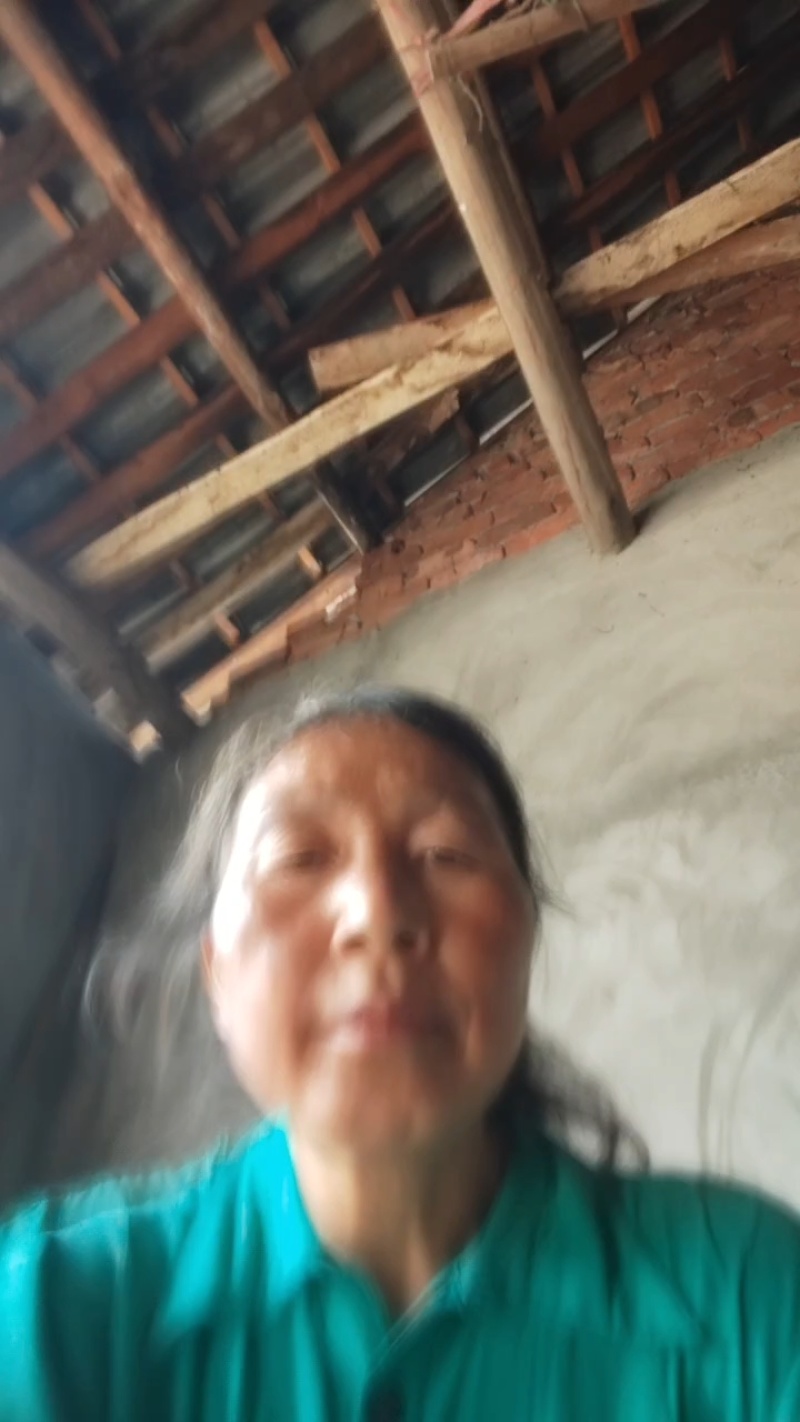 蒲江黄心猕猴桃大量上市价格美丽好吃不贵产地直发可视频看货